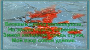 Люблю я смотреть на рябину(Видео стихи-Макасеевой Оксаны)