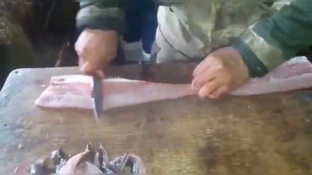 Классная разделка рыбы на колыме!!! ЮКОЛА