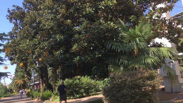 Мы тут гуляем. 1 августа 2021 Сочи смотреть онлайн