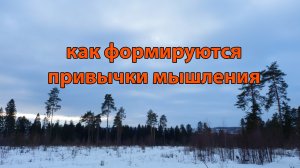 Как формируется привычка мышления