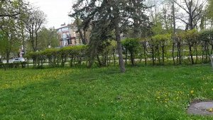 г.Белая Церковь Киевской области.Выходной день.