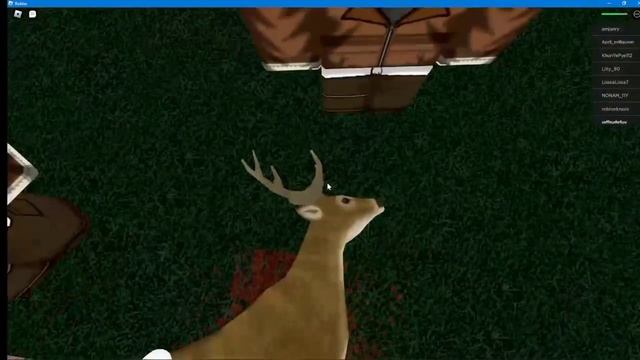 Кемпинг... хорошо что это был сон смотреть онлайн