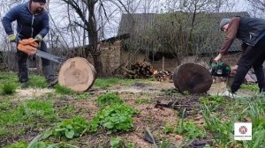 Бензопила Тайга 214 & Husqvarna??? & Grunhelm GS-4500MG