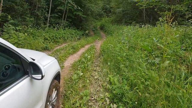 Езда по бездорожью к озеру Кодосно 30.06.2018 смотреть онлайн