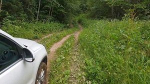 Езда по бездорожью к озеру Кодосно 30.06.2018