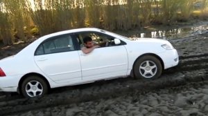 тест драйв тойоты короллы и субару импреза (4вд)