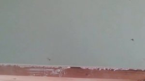 Сажаю гипсокартон на Пену, много пены не бывает!)))Пена и Клей, как это работает реально?РАБОТАЕТ!