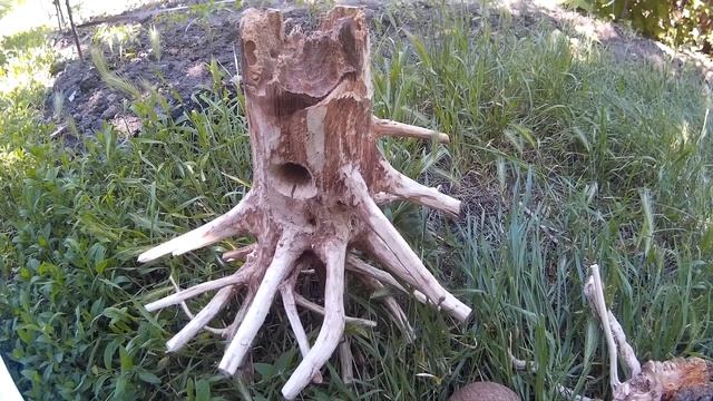 КОРЯГА ДЛЯ АКВАРИУМА СВОИМИ РУКАМИ. смотреть онлайн