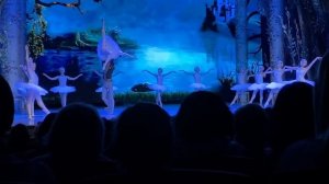 Зигфрид и Одетта | Балет «Лебединое озеро»