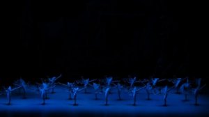 "Баядерка". Кремлевский балет. тени