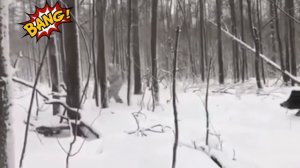 Приколы на охоте Самая смешная подборка! 2019- 2020 охота и чудаки охотники