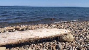 Байкал летом.