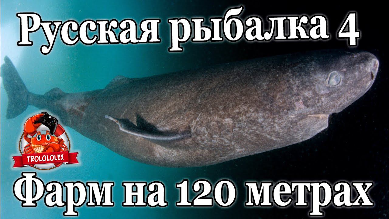 Русская рыбалка 4 Норвежское море фарм Увлекательная рыбалка смотреть онлайн