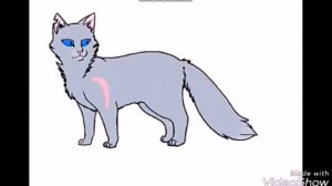 Угадай кота воителя по окрасу| Коты воители вики