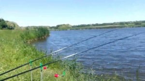 Ростовская обл. с.Ивановка.Пруд в аренде,ловля рыбы временно не разрешена..