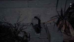 Assassin's Creed: Origins - Прохождение часть 25 | Гробница Менкаура