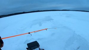 Как МЫ ловим окуня зимой ? Дергаем окуня со льда зимой. Прикормка окуня зимой.