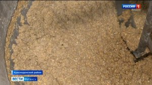 Перепелиная ферма в Республике произвела почто полтора миллиона яиц