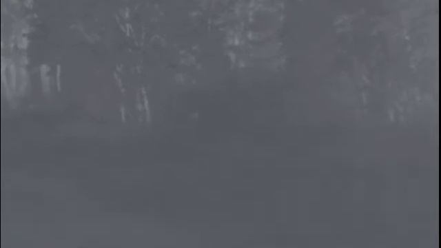 Секач в тепловизор Pulsar Helion XQ38F - 70 м смотреть онлайн