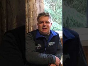 'Кизильник блестящий и его стратификация. 18+', Алексей Олейник