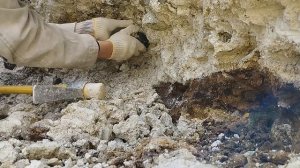 огромный кристалл дымчатый кварц, раухтопаз. Астафьевское месторождение. пос. Южный. 21-05-2023