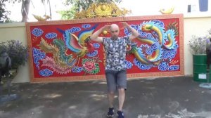 УШУ, стиль ТИГРА, ХунГар, Tiger Style, HunGar, 洪家拳
