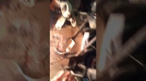 Замена сальника заднего привода Форд эксплорер 5