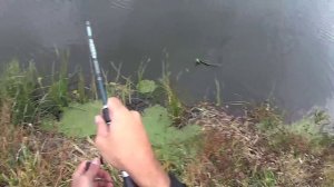 Цвет приманки в джиге. Щуки на  Lucky john Tioga.  Color of a bait in jig.