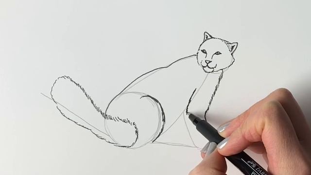How to draw a snow leopard easy смотреть онлайн
