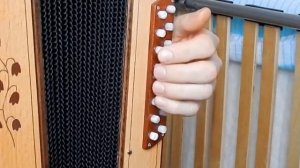 Расцвела под окошком белоснежная вишня...(как играть на гармони)