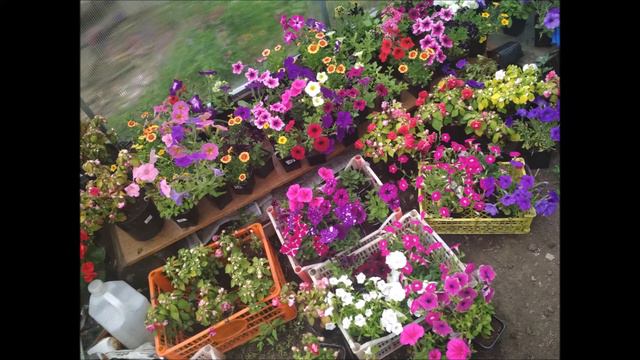 Маленький обзор лета 2021. Видео из фотографий смотреть онлайн