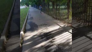 Улица Ивана Бабушкина, Дмитрия ульянова дом 6, заросли за домами