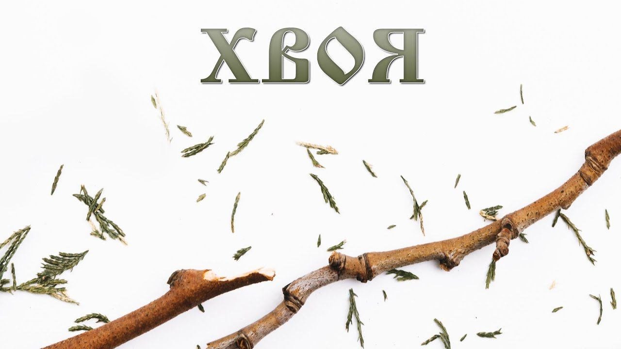 ХВОЯ