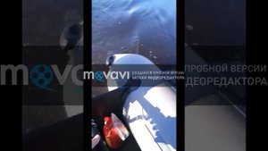 обзор китайского лодочного мотора Sharmax 3,5л.с и Беларусской ПВХ лодки "Жерех 310к"