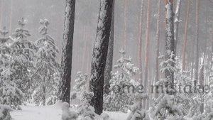 Robert Frost * Stopping by Woods on a Snowy Evening