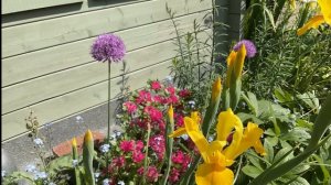 Vlog 380 - Обзор двух очень разных английских садов