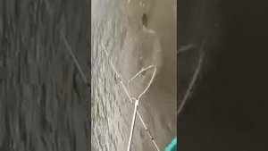 Рыбалка в Мумре.