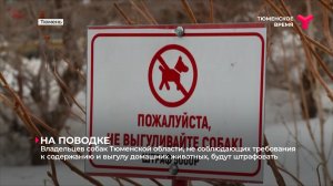 Новые правила выгула собак