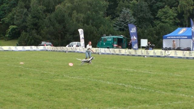 Дог-фризби чемпионат Европы 2012 в Польше. смотреть онлайн