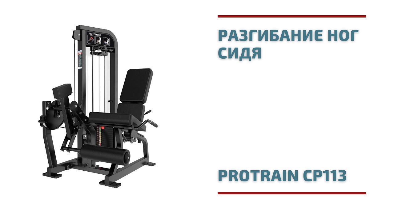 Разгибание ног сидя Protrain CP113