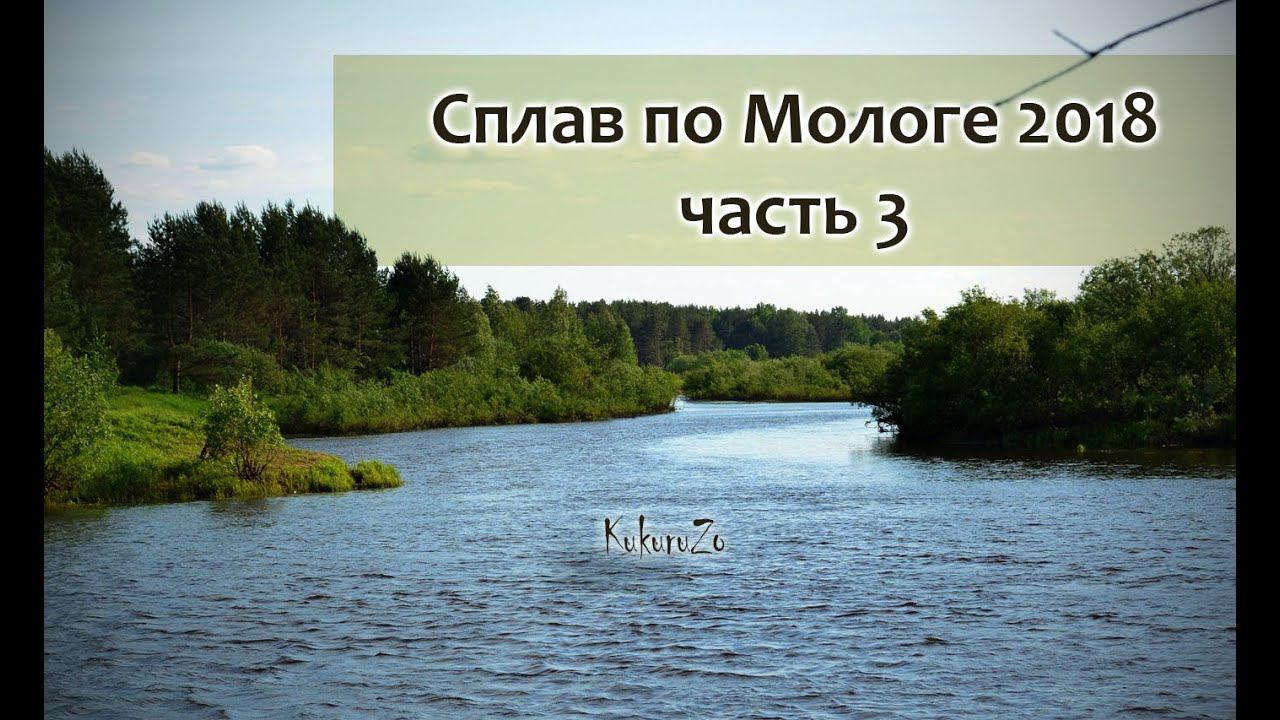 18+ Сплав по реке Молога. 3 часть. Атака птиц всё сожрали. Рыбалка. Прошли через кустарник. КукуруЗо