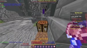 Easy Fast Carpentry XP + Optimizations (Hypixel Skyblock)