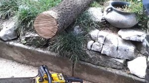 mondial 657 chain saw made in italy