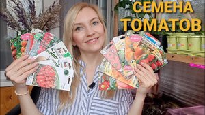 ОБЗОР ТОМАТОВ НА СЕЗОН 2022
