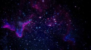 ЖИЗНЬ БЕЗ ЕДЫ