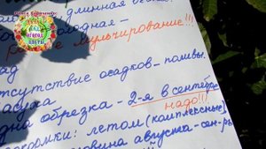 Инжир без плодов в 2020 году? Почему?