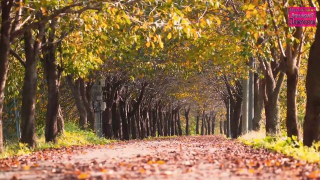 Влад Порфиров - Ночные фонари