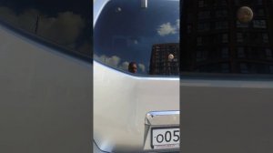 nissan pathfinder r51 2006года