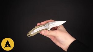 Нож Kershaw Scallion