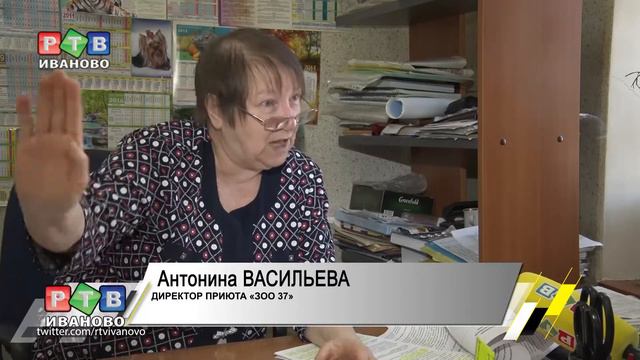 Все псы попадают в рай?